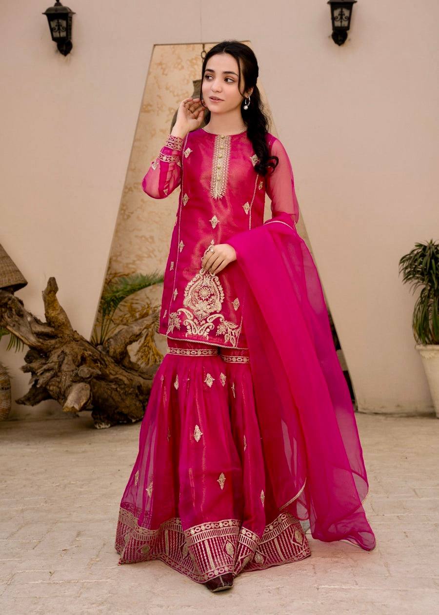 Gulnaar Royal New Designer Party Wear Sharara Set