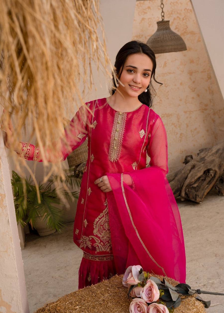 Gulnaar Royal New Designer Party Wear Sharara Set