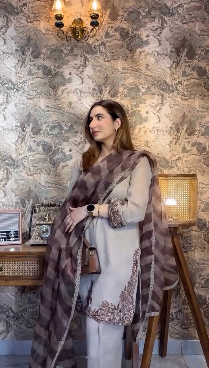 Desert Glow Embroidered Elegance Festive Charm Farshi Set