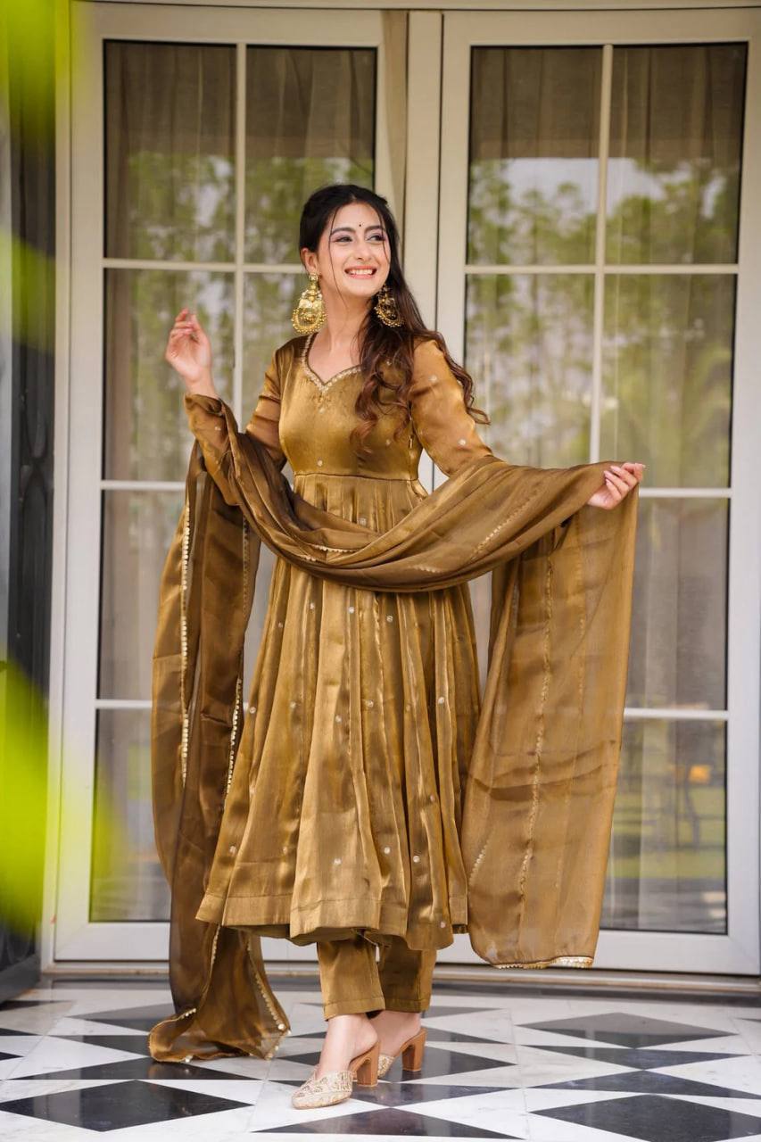 Lustrous Charm Beautiful Anarkali Set