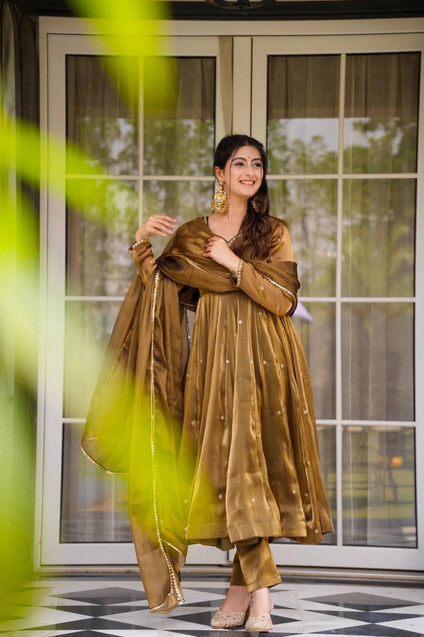 Lustrous Charm Beautiful Anarkali Set