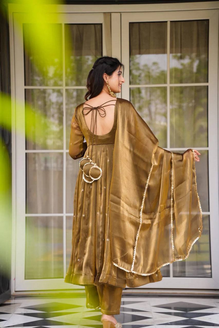 Lustrous Charm Beautiful Anarkali Set