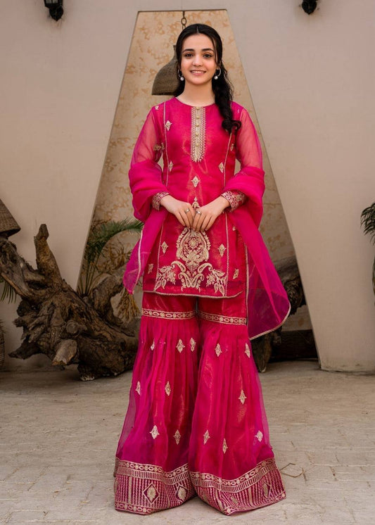 Gulnaar Royal New Designer Party Wear Sharara Set