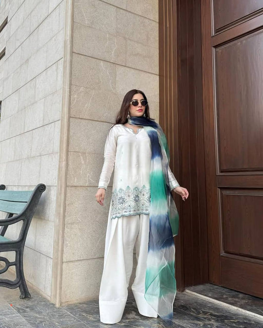 Chaandni  White Silk Handcrafted Border & Shaded  Kurta Set