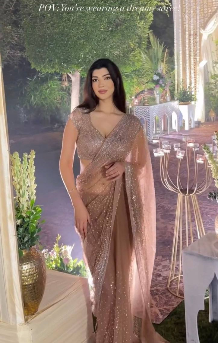 Dreamy Veil Designer Soft Net Saree