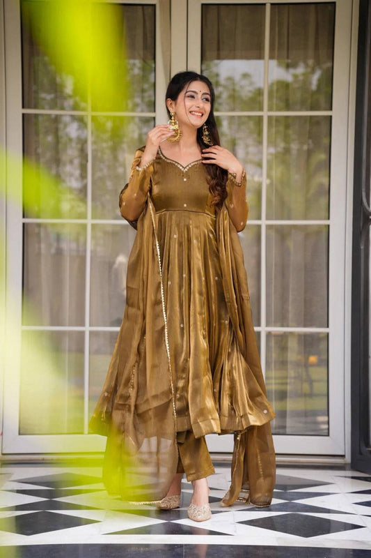 Lustrous Charm Beautiful Anarkali Set