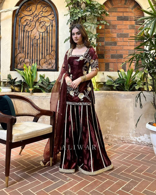 Luxury Velvet Sharara Set with Stunning Design and Embellishments